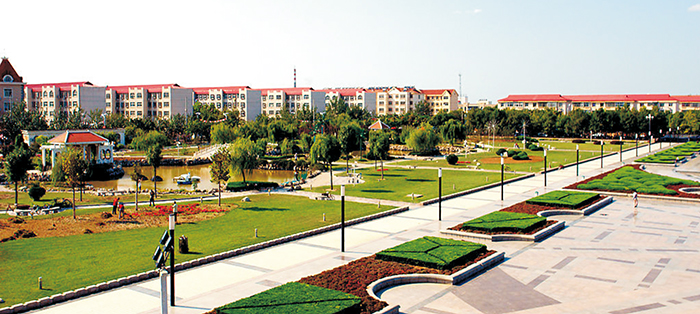 黃驊市南排河鎮(zhèn)趙家堡、賈家堡村民聯(lián)建工程